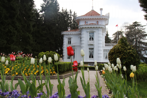 Trabzon ŞehirTuru